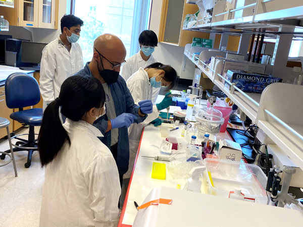 A group of high school and community college students in the Undergraduate Student Initiative for Biomedical Research program work on their project, “Particle Tracking on the Total Internal Reflection Fluorescence (TIRF) Microscope” under the guidance of Francesco Palomba (blue lab coat), biomedical engineering postdoctoral scholar. 